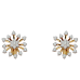 The Gelasia Diamond Stud Earrings