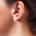 Tanvi Diamond Earrings